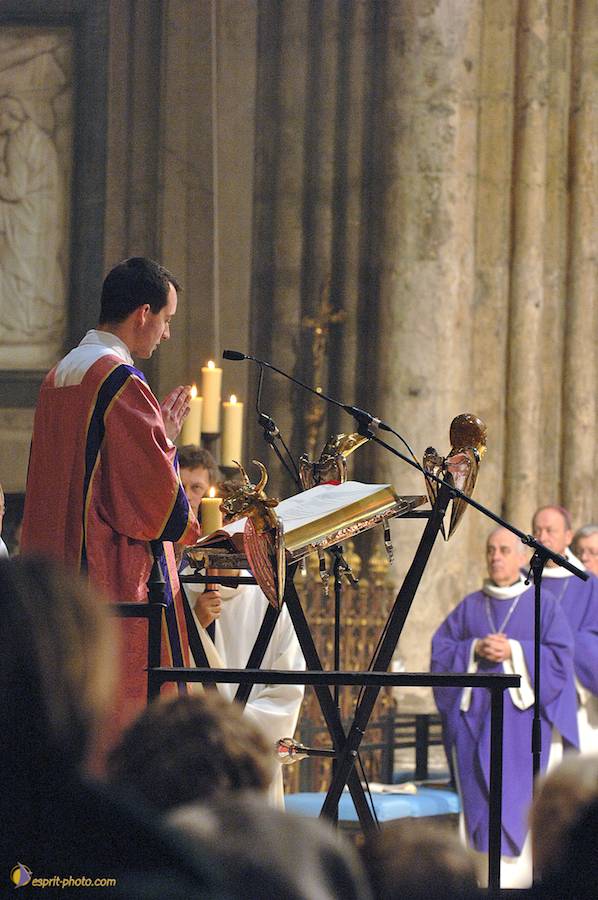 Nom de l'image : D2142876_1_(c)Norbert-JUNG — Description :